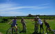 McLaren Vale Wine Tour By Bike - thumb 12