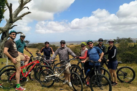 McLaren Vale Wine Tour By Bike - Accommodation 4U 7