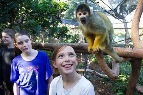 Adelaide Zoo Behind The Scenes Experience: Squirrel Monkey Feeding - Accommodation 4U 1
