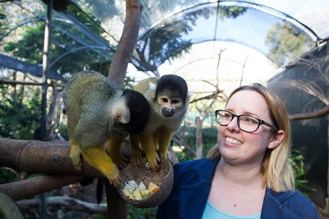 Adelaide Zoo Behind The Scenes Experience: Squirrel Monkey Feeding - Accommodation 4U 0
