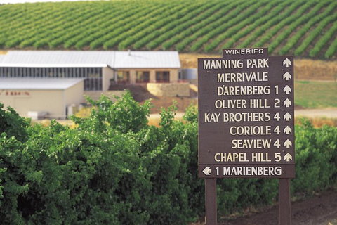 McLaren Vale Shiraz Trail Cycling Tour From Adelaide - Accommodation 4U 8
