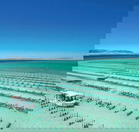 Coffin Bay Private Day Tour from Port Lincoln - A Taste of Coffin Bay - Accommodation 4U