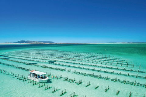 Coffin Bay Private Day Tour From Port Lincoln - A Taste Of Coffin Bay - Accommodation 4U 0