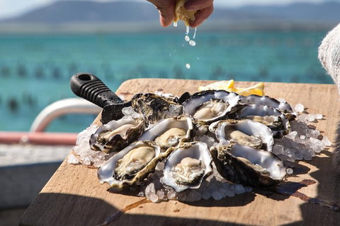 Experience Coffin Bay Short And Sweet Oyster Farm Tour - Accommodation 4U 0