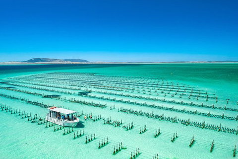 Experience Coffin Bay Short And Sweet Oyster Farm Tour - Accommodation 4U 5