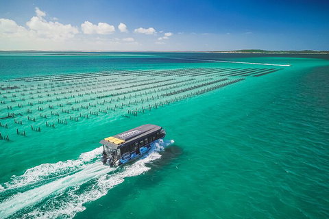 Experience Coffin Bay Short And Sweet Oyster Farm Tour - Accommodation 4U 2