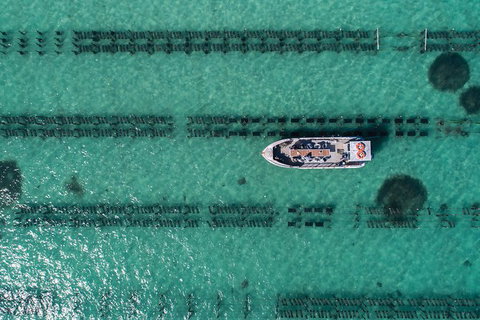 Experience Coffin Bay Short And Sweet Oyster Farm Tour - Accommodation 4U 4