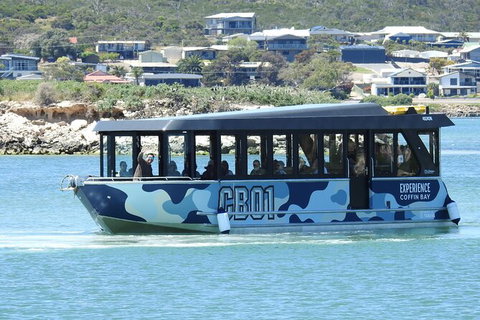 Experience Coffin Bay Short And Sweet Oyster Farm Tour - Accommodation 4U 9