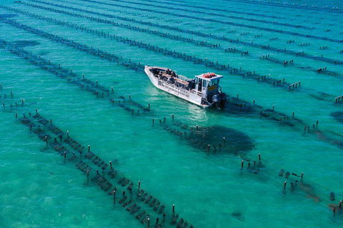 Experience Coffin Bay Short And Sweet Oyster Farm Tour - Accommodation 4U 7
