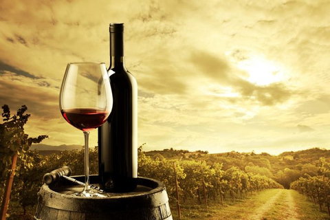 McLaren Vale Luxury Wine Tour - Accommodation 4U 1