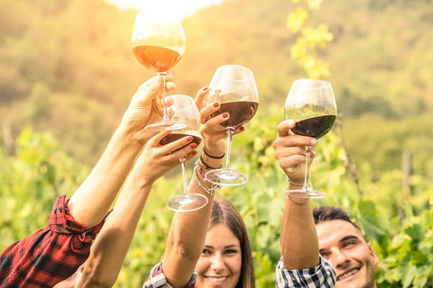 McLaren Vale Luxury Wine Tour - Accommodation 4U 5