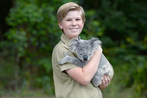 Croc Express To Australia Zoo From Brisbane - Accommodation 4U 1