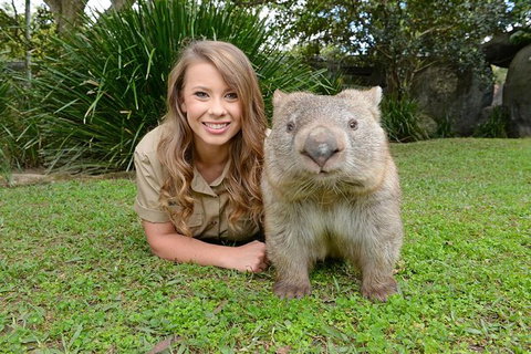 Croc Express To Australia Zoo From Brisbane - Accommodation 4U 0