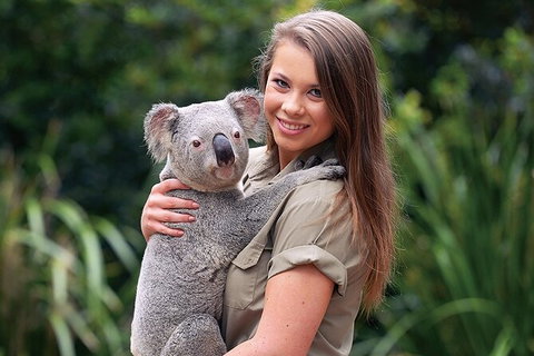 Croc Express To Australia Zoo From Brisbane - Accommodation 4U 7