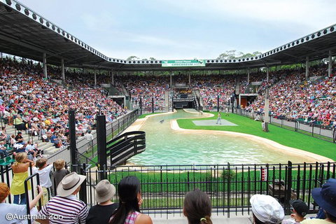 Croc Express To Australia Zoo From Brisbane - Accommodation 4U 12