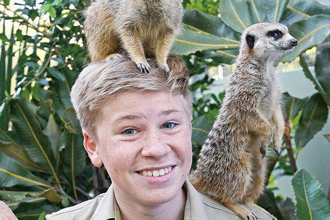 Croc Express To Australia Zoo From Brisbane - Accommodation 4U 9