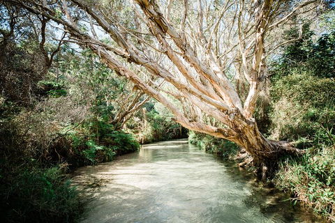 All-Inclusive 2-Day Fraser Island Tour - Accommodation 4U 11