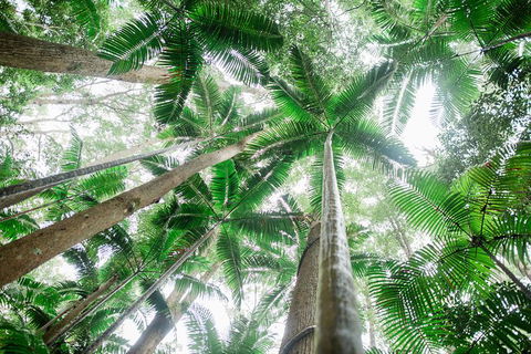 All-Inclusive 2-Day Fraser Island Tour - Accommodation 4U 8
