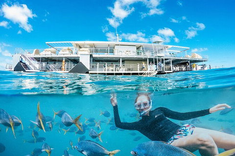 2-Day Great Barrier Reef Reefsleep Experience - Accommodation 4U 8