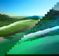 Cape Tribulation Mossman Gorge and Daintree Rainforest Day Trip from Cairns or Port Douglas - Accommodation 4U