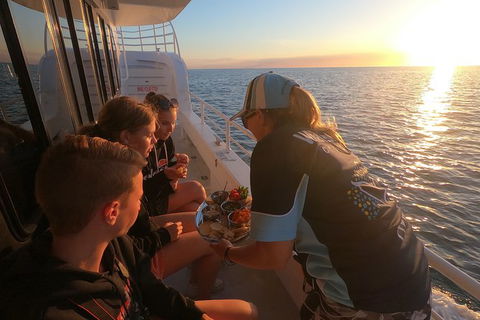Hervey Bay Whale Watching Experience - Accommodation 4U 15