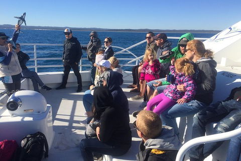 Hervey Bay Whale Watching Experience - Accommodation 4U 10
