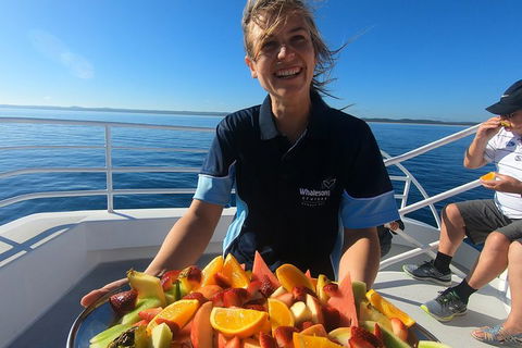 Hervey Bay Whale Watching Experience - Accommodation 4U 5
