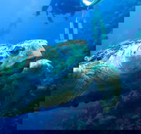 Scuba Dive the S.S. Yongala Wreck on the Great Barrier Reef. - Accommodation 4U