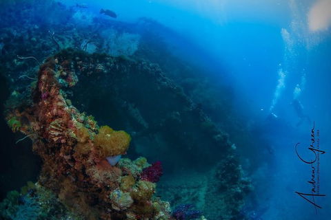 Scuba Dive The S.S. Yongala Wreck On The Great Barrier Reef. - Accommodation 4U 3