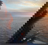Hervey Bay Sunset Cruise - Accommodation 4U