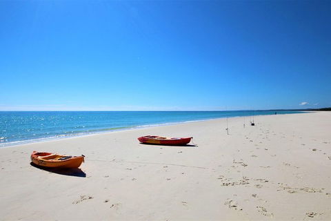 Fraser Island West Coast BBQ Lunch Cruise From Hervey Bay Including Kayaking And Swimming - Accommodation 4U 8