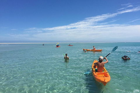 Fraser Island West Coast BBQ Lunch Cruise From Hervey Bay Including Kayaking And Swimming - Accommodation 4U 9