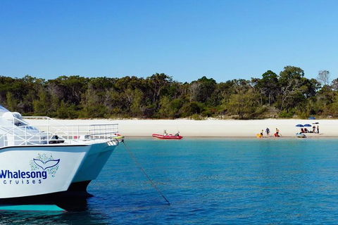 Fraser Island West Coast BBQ Lunch Cruise From Hervey Bay Including Kayaking And Swimming - Accommodation 4U 10