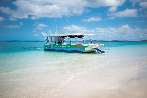 Great Sandy Marine Park Turtle Discovery And Cultural Eco Tour - Accommodation 4U 0
