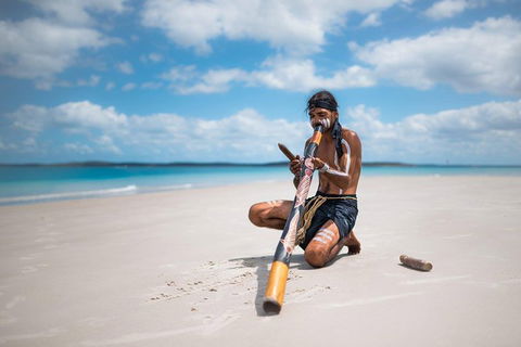Great Sandy Marine Park Turtle Discovery And Cultural Eco Tour - Accommodation 4U 1