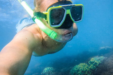 Great Sandy Marine Park Turtle Discovery And Cultural Eco Tour - Accommodation 4U 2