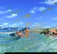 Horse Swimming Ride from Rainbow Beach - Accommodation 4U