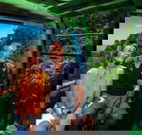 Skyrail Rainforest Cableway Day Trip from Palm Cove - Accommodation 4U