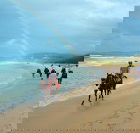 Rainbow Beach Horse Ride - Accommodation 4U
