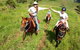 Country Day Ride From Mt Goomboorian With Rainbow Beach Horse Rides - thumb 0