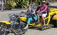 Airlie Beach Trike Tours - thumb 3