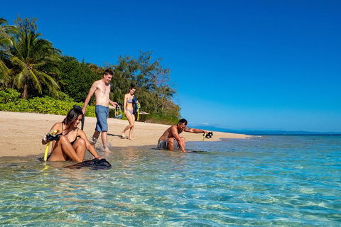 Half Day Low Isles Snorkelling Tour From Port Douglas - Accommodation 4U 0