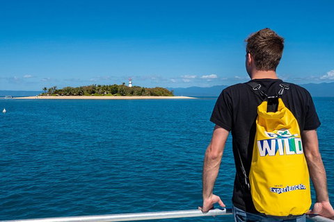 Half Day Low Isles Snorkelling Tour From Port Douglas - Accommodation 4U 1