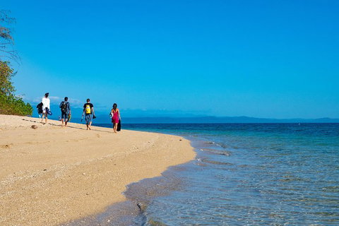 Half Day Low Isles Snorkelling Tour From Port Douglas - Accommodation 4U 3