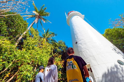Half Day Low Isles Snorkelling Tour From Port Douglas - Accommodation 4U 7