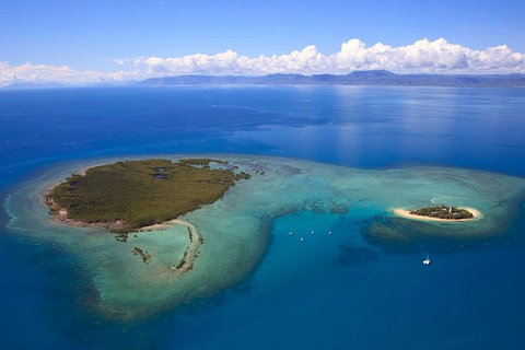 Half Day Low Isles Snorkelling Tour From Port Douglas - Accommodation 4U 4