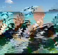 Ocean Spirit Michaelmas Cay Dive and Snorkel Cruise from Palm Cove - Accommodation 4U