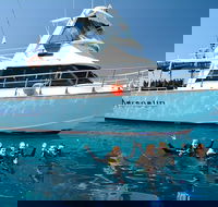 Great Barrier Reef Cruise from Townsville or Magnetic Island - Accommodation 4U