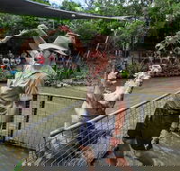 Hartley's Crocodile Adventures Day Trip from Cairns - Accommodation 4U