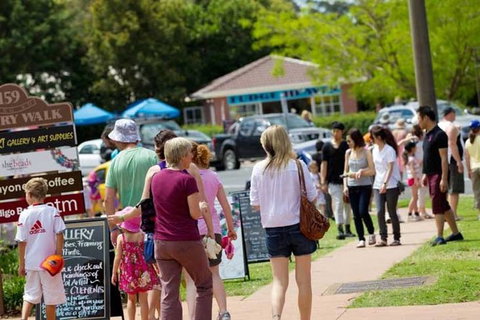 Tamborine Mountain Daily Service, Treetop Challenge And Thunderbird Park - Accommodation 4U 6